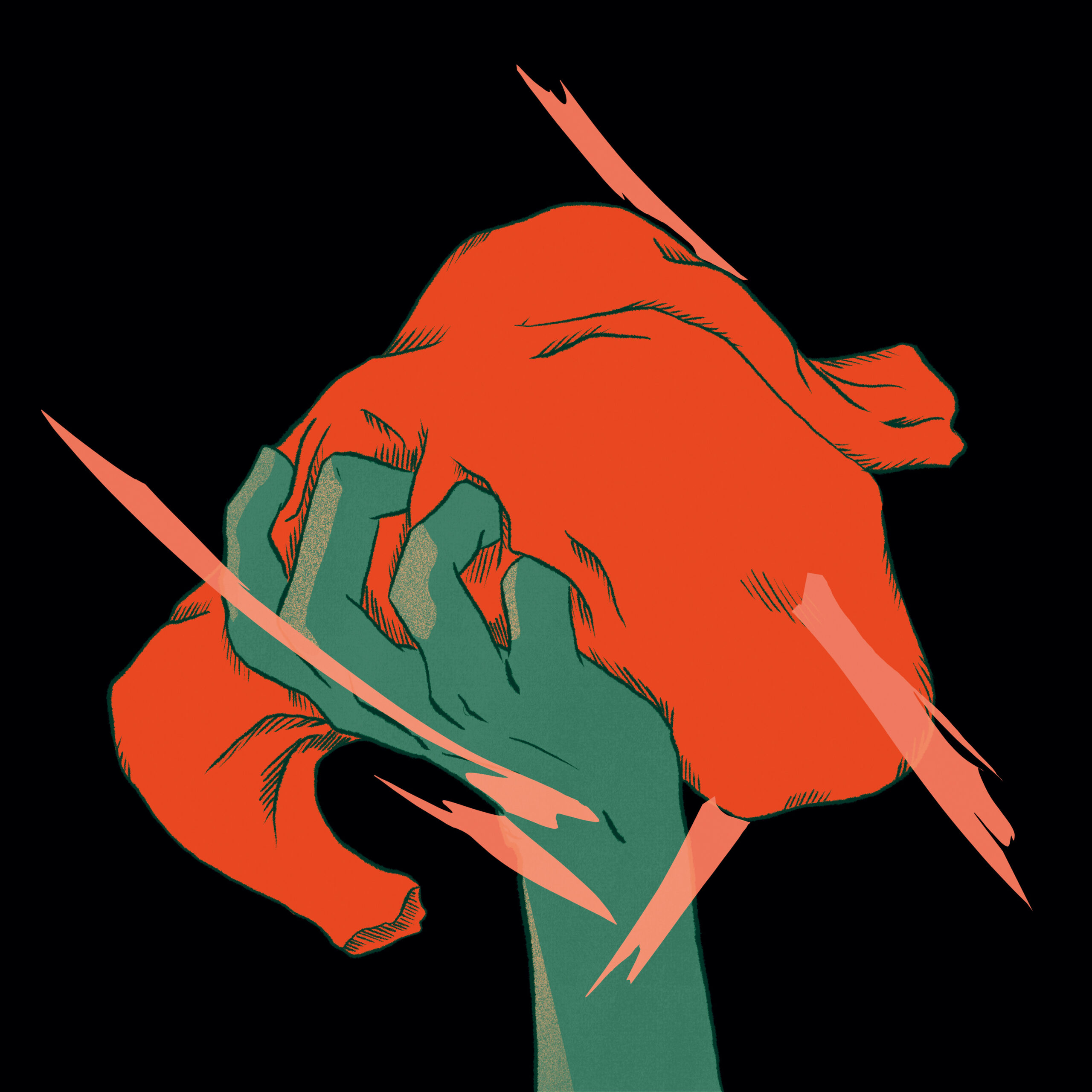 The Belly and the Members