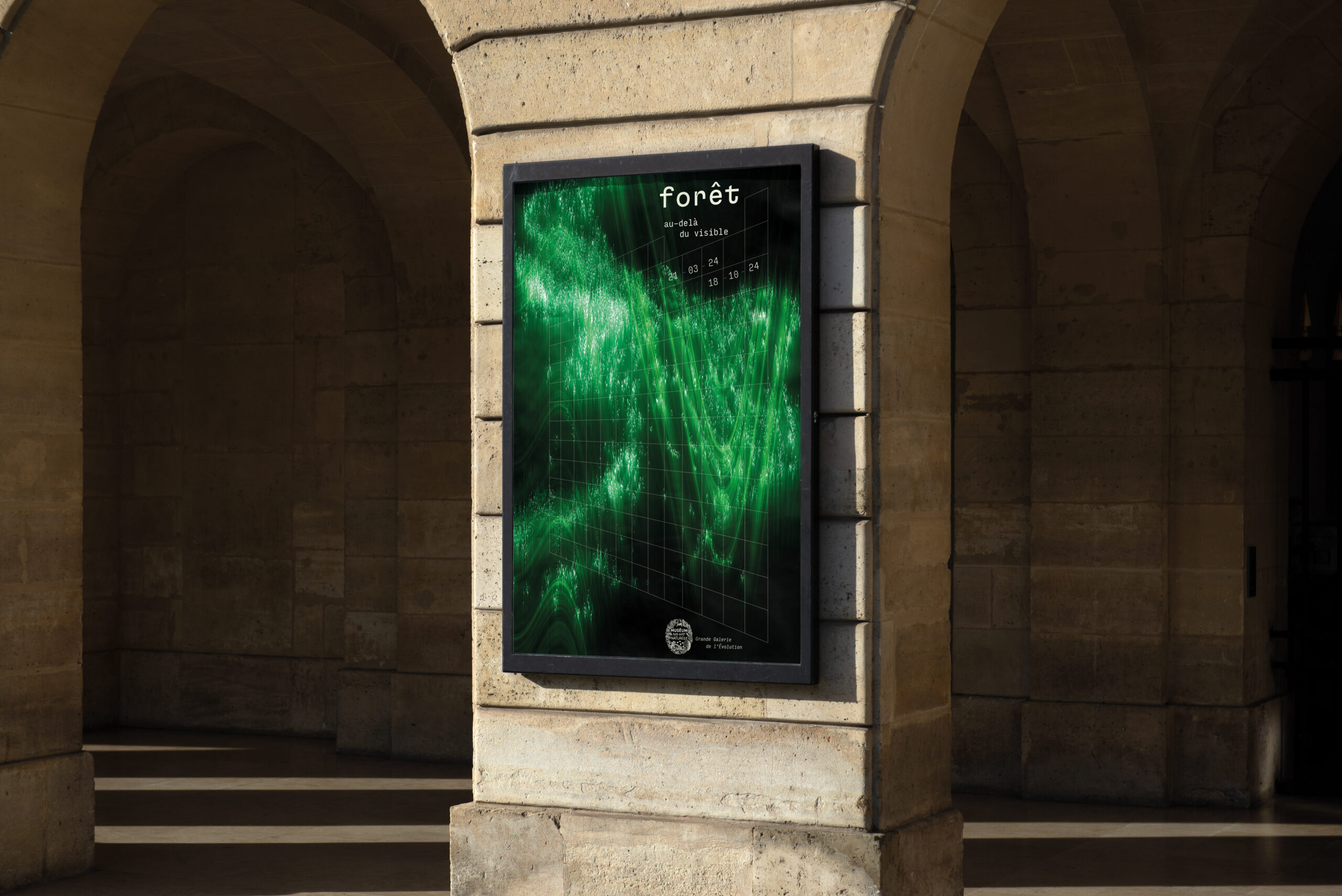 Forêt, au-delà du visible